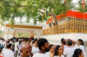 Pilger am heiligen Bodhibaum in Anuradhapura 