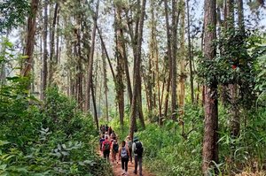 Wanderung im Hochland von Sri Lanka