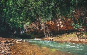 View on the river flowing in to the big rock cave covered in green ivy in the jungle of Belize