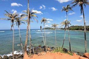 Legendärer Coconut Hill bei Mirissa