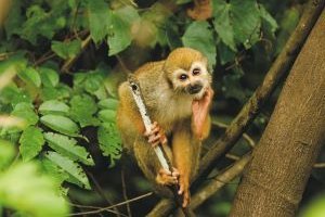 Rundreise Naturparadiese Braslien