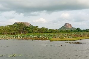 Friedvoll und entspannt: eine Bootstour mit Blick auf den Sigiriya Löwenfelsen