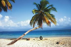 Palme mit Reifenschaukel an einem tropischen Strand der San-Blas-Inseln in Panama