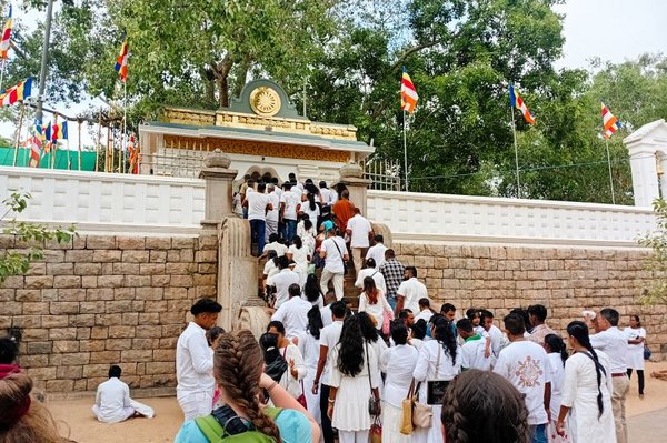 Unbedingt sehenswert: Der Sri Maha Bodhi, eine der bedeutendsten buddhistischen Heiligtümer Sri Lankas