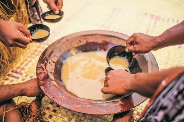 Probieren Sie unbedingt das Nationalgetränk Kava auf Fiji Probieren Sie unbedingt das Nationalgetränk Kava auf Fiji