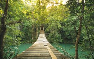 Fußgängerbrücke über den Fluss im ruhigen Wald von Belize