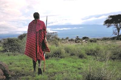 Kenia Urlaub jetzt buchen