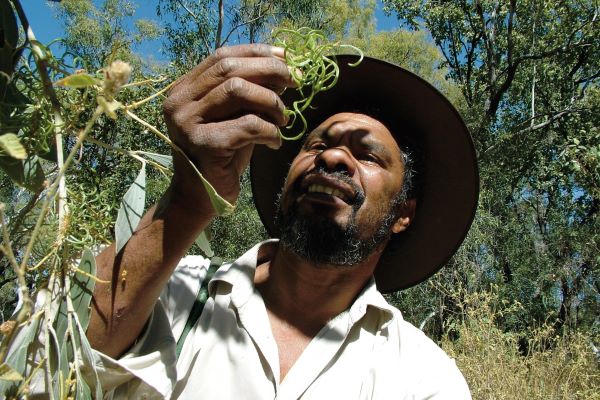Tauchen Sie ein in die Welt der Aborigines Tauchen Sie ein in die Welt der Aborigines
