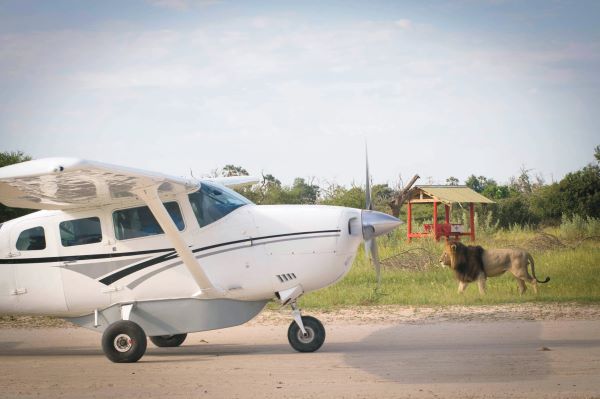 In Botswana werden Sie bereits erwartet In Botswana werden Sie bereits erwartet