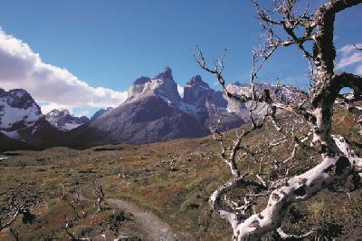 Chile Rundreisen hier buchen Teaserbild