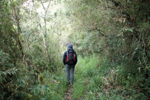 Ecuador, Anden, wandern, Tropic Eco Tours, Wald , Menschen