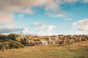 Quilotoa crater lake, Ecuador