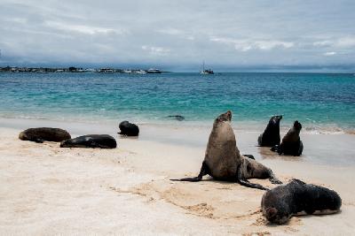 Infos A–Z: Galapagos Inseln