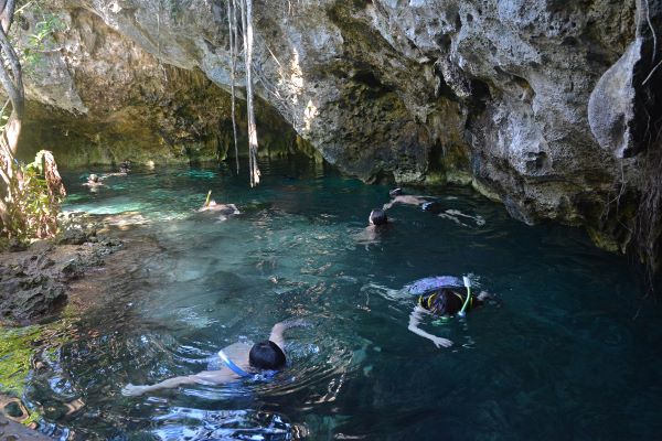 Badende in der Gran Cenote auf der Halbinsel Yucatán in Mexiko