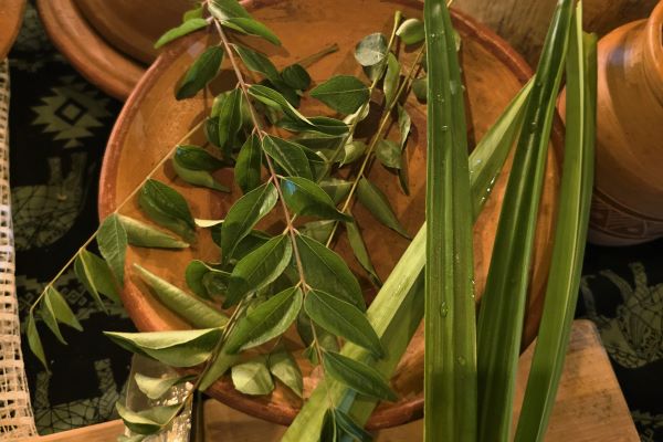 Curry- und Pandanblätter sind klassische Zutaten in der Sri Lanka Küche