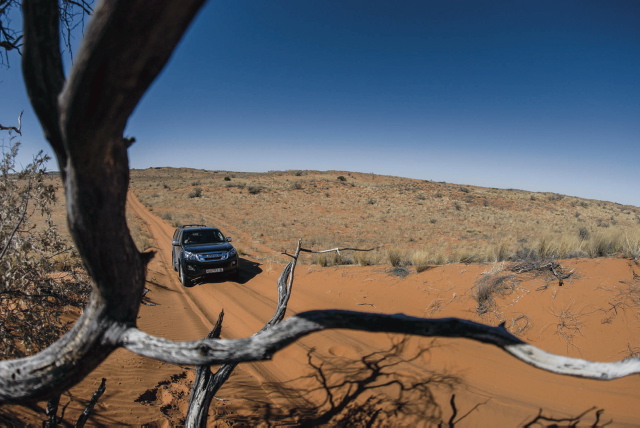 Mietwagenreisen in Südafrika Teaserbild
