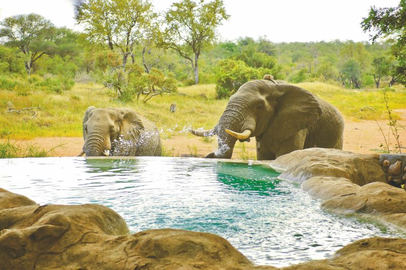 Flitterwochen Südafrika & Mozambique Teaserbild