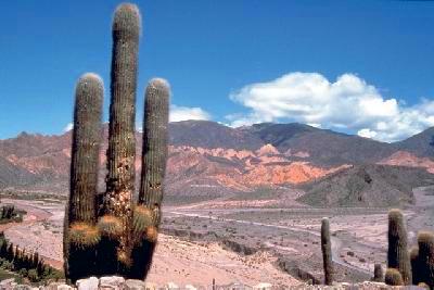 Urlaub in Argentinien