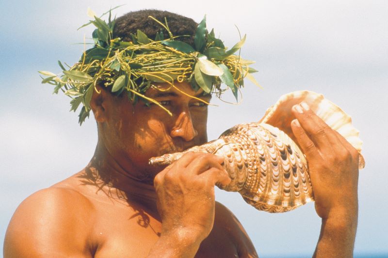 Tonga Reisen Teaserbild