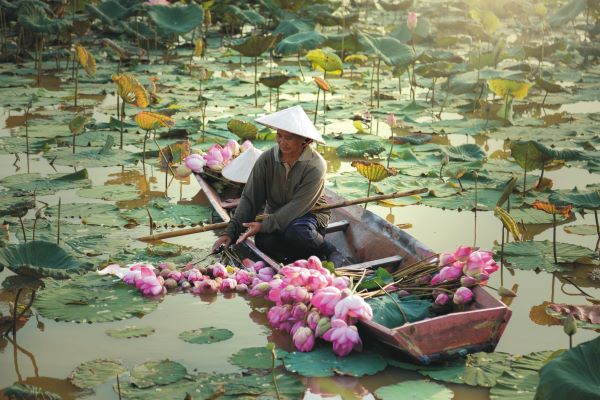 Honeymoon Vietnam Teaserbild