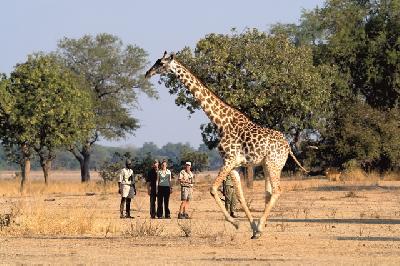 Ausflüge & Tagestouren in Zambia Teaserbild