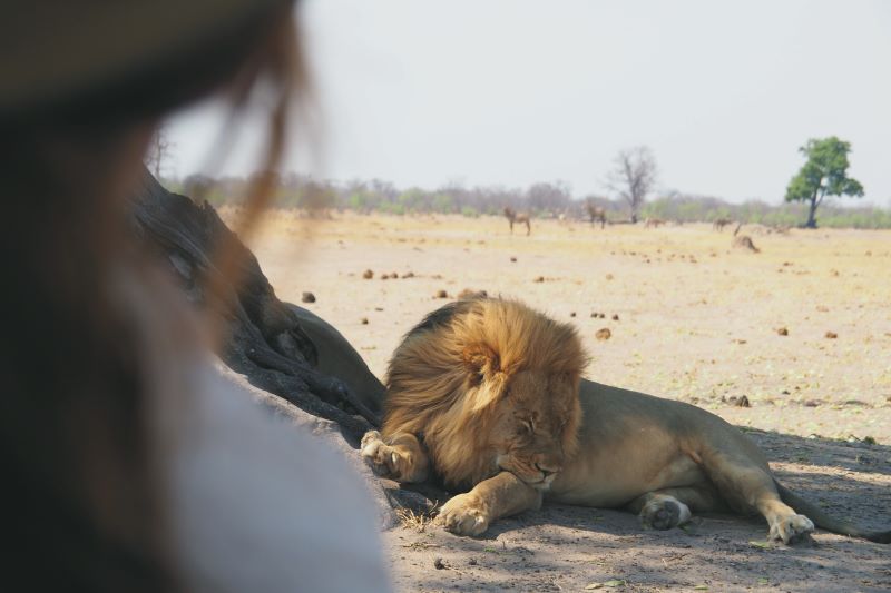 Kleingruppenreisen Zimbabwe Teaserbild
