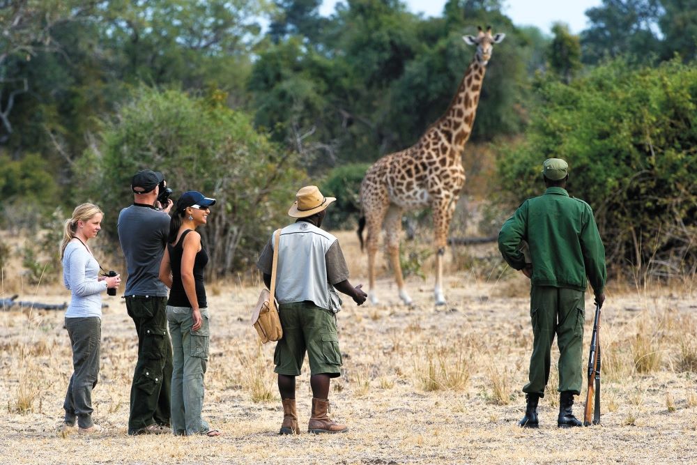 Safari Rundreisen Teaserbild